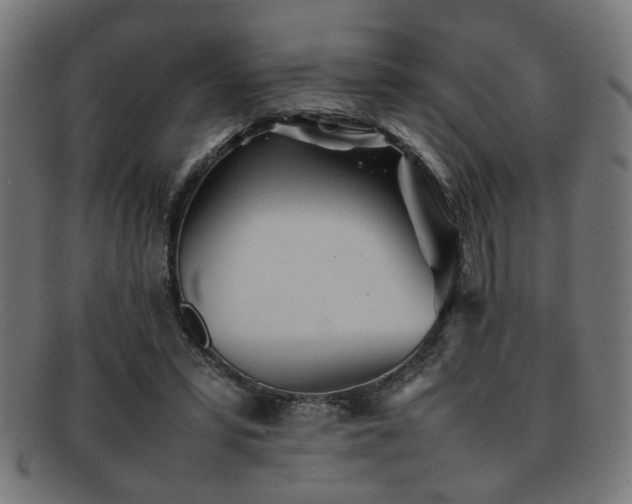 X0000092100399200709121548