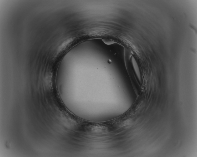 X0000092100400200709121548