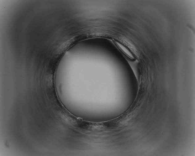 X0000092100401200709121548