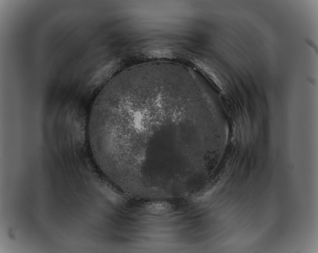 X0000092100402200709121548