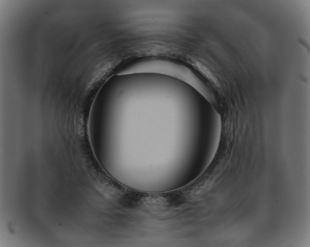 X0000092100403200709121548