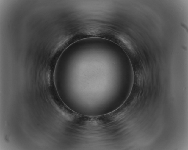 X0000092100404200709121548
