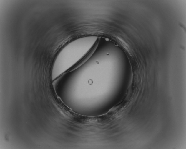 X0000092100405200709121548
