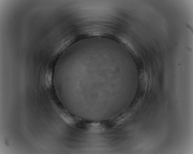 X0000092100406200709121548