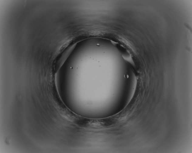 X0000092100407200709121548