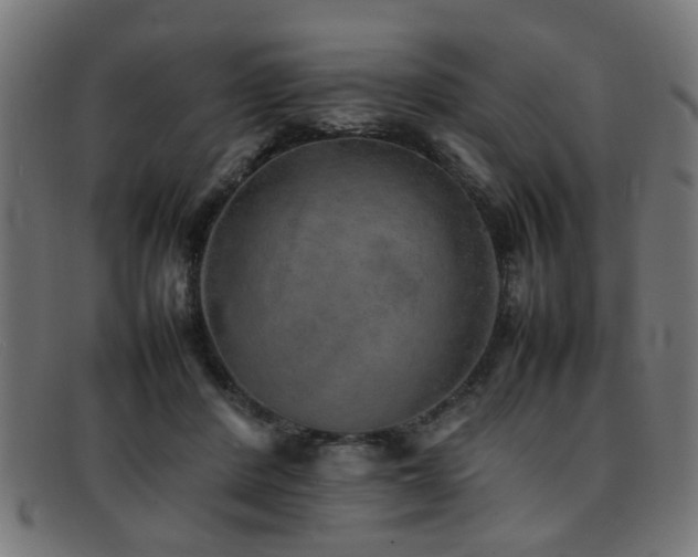 X0000092100408200709121548