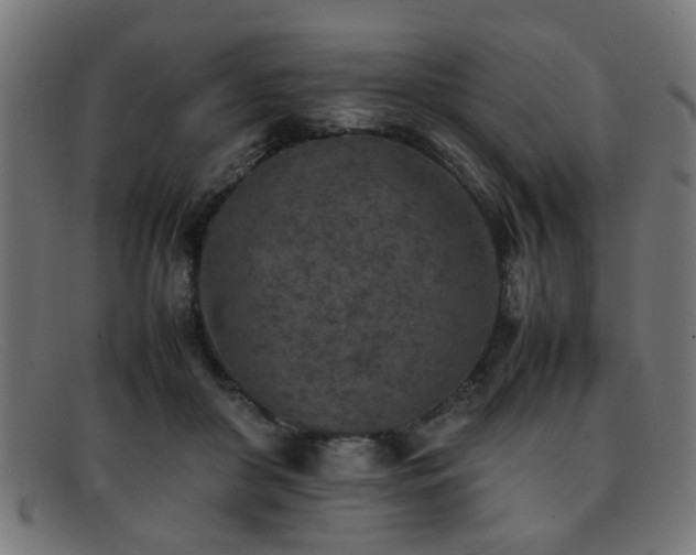 X0000092100410200709121548