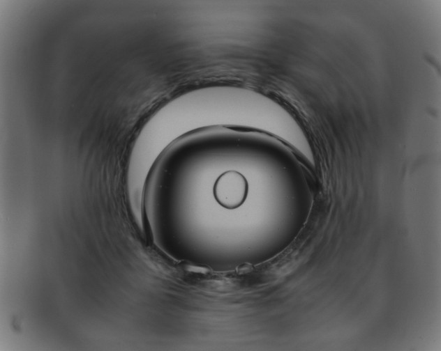 X0000092100411200709121548