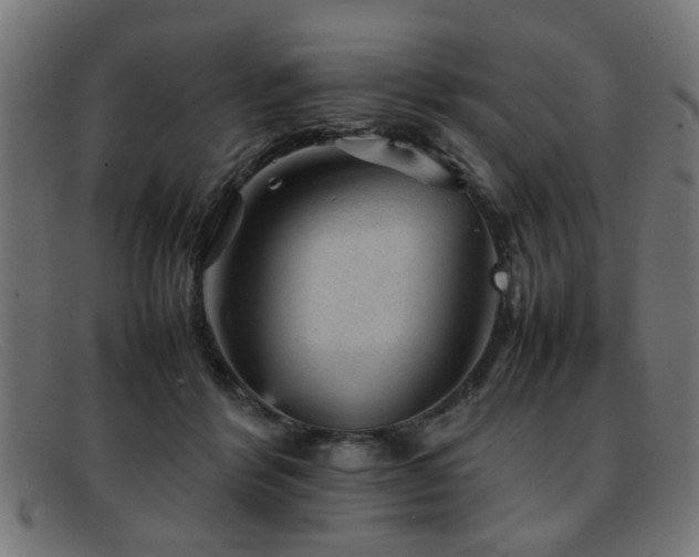 X0000092100412200709121548