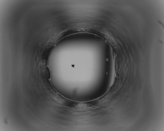 X0000092100413200709121548
