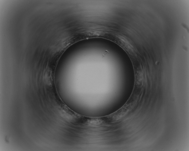 X0000092100414200709121548