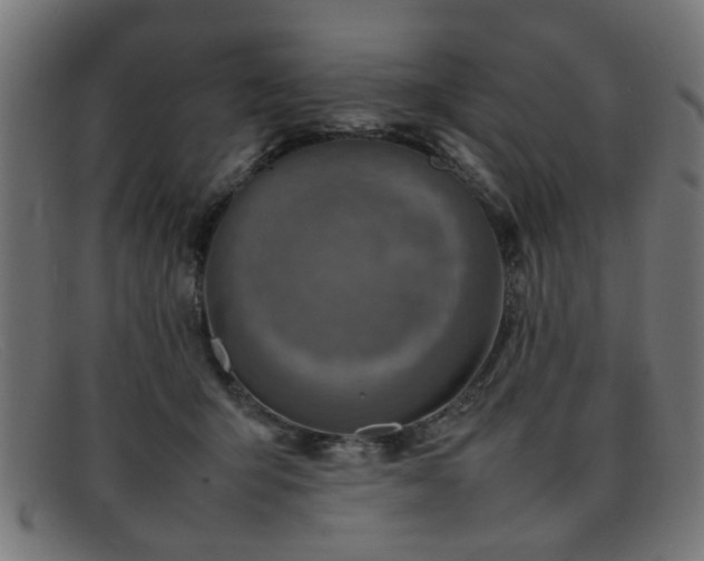X0000092100415200709121548