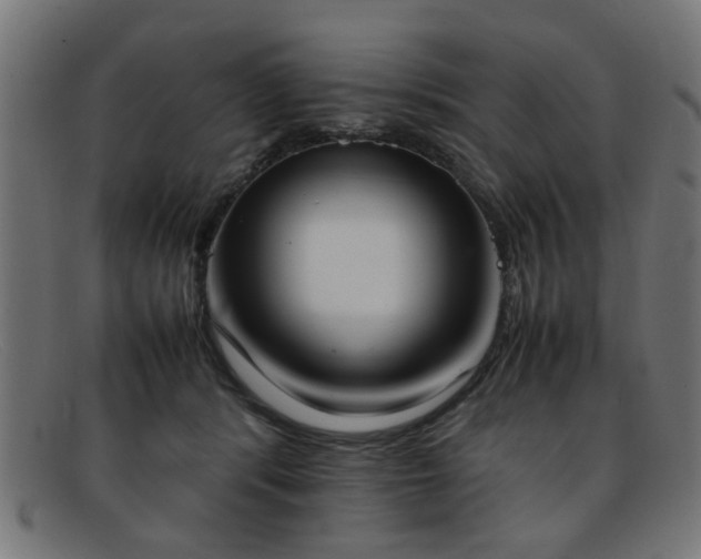 X0000092100416200709121548