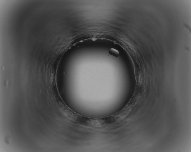X0000092100417200709121548