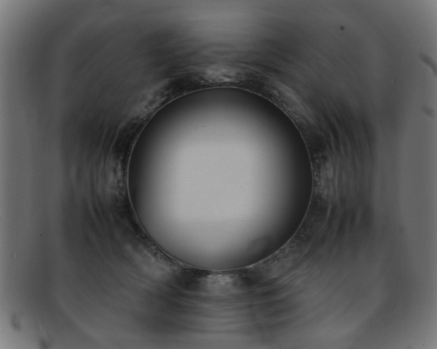 X0000092100418200709121548