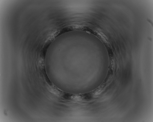 X0000092100419200709121548