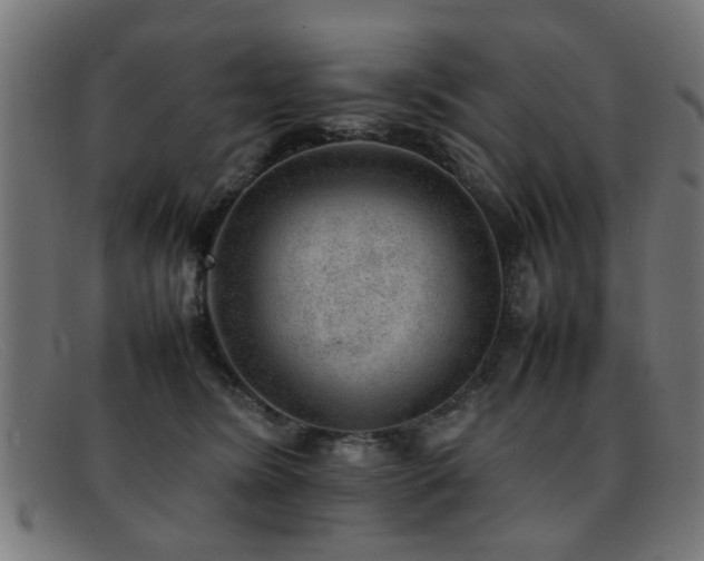 X0000092100420200709121548
