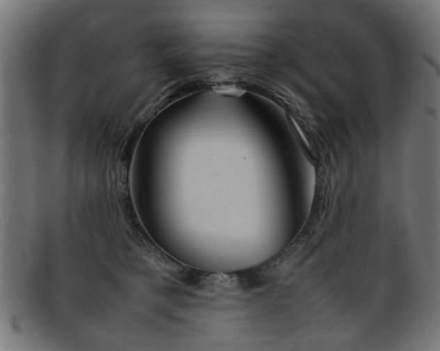 X0000092100421200709121548