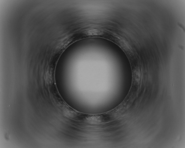 X0000092100422200709121548