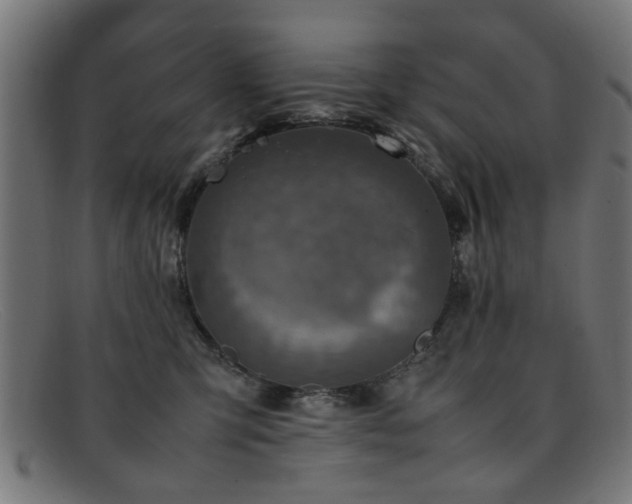 X0000092100423200709121548
