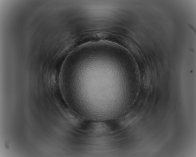 X0000092100424200709121548