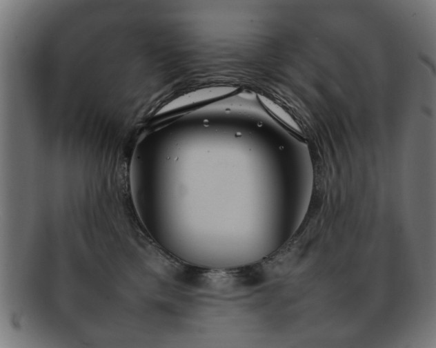 X0000092100425200709121548