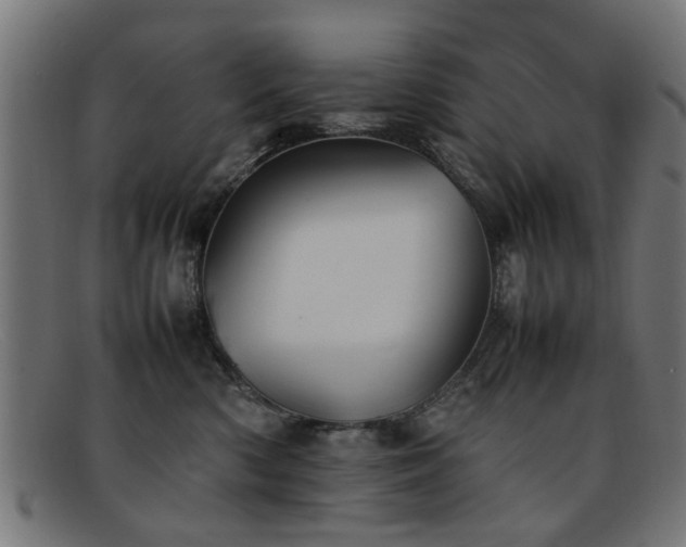 X0000092100426200709121548