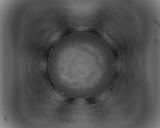 X0000092100427200709121548