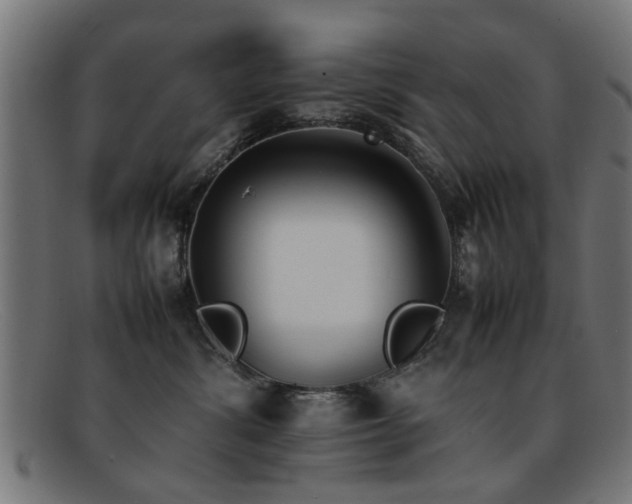 X0000092100428200709121548