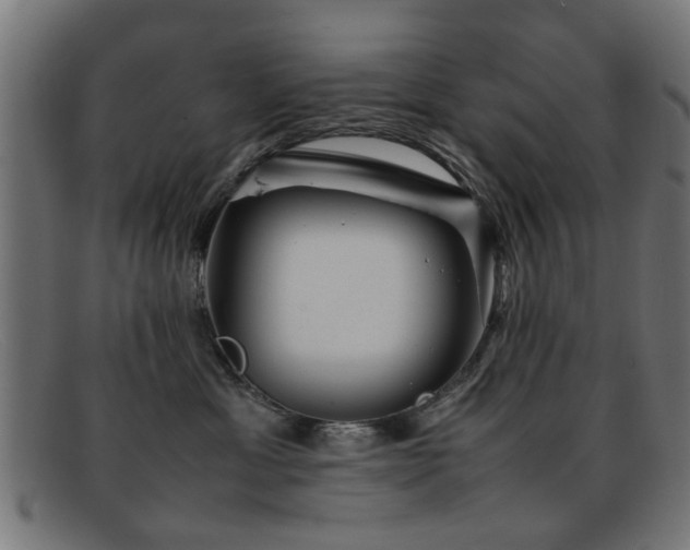 X0000092100429200709121548