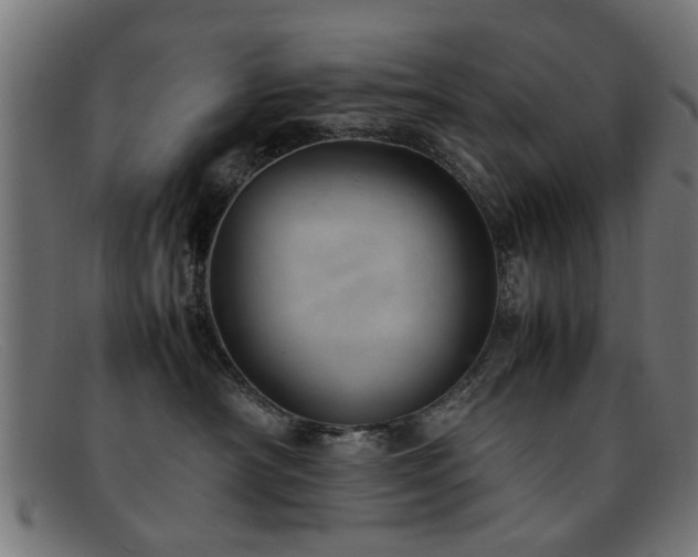 X0000092100430200709121548