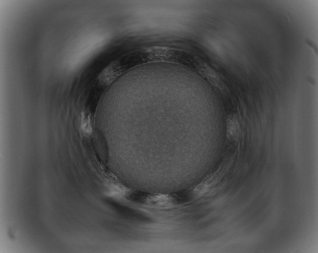 X0000092100431200709121548