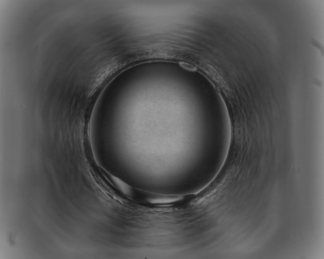 X0000092100434200709121547