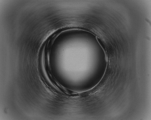 X0000092100436200709121547