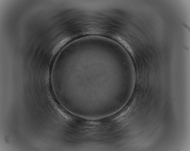 X0000092100437200709121547