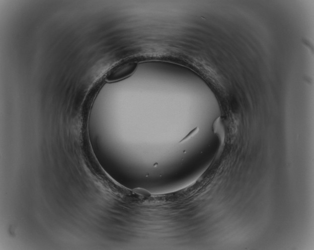 X0000092100440200709121547