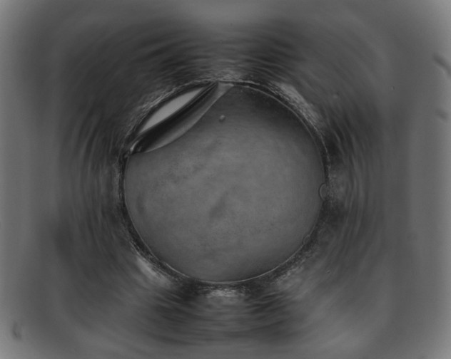 X0000092100441200709121547