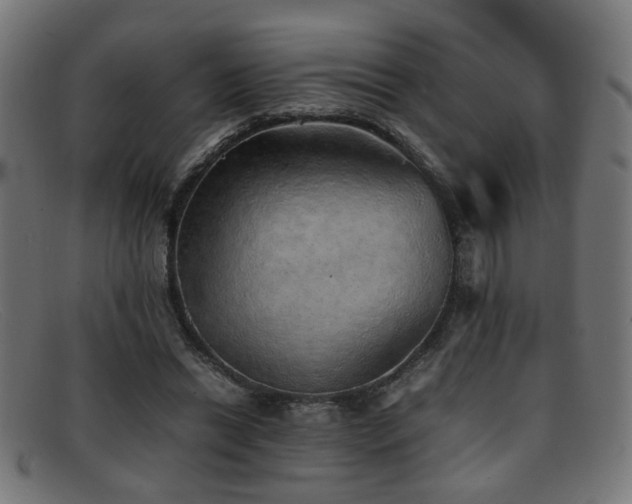X0000092100446200709121547