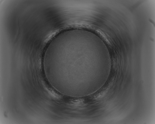 X0000092100447200709121547