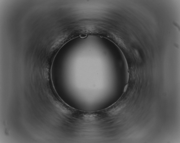 X0000092100450200709121547