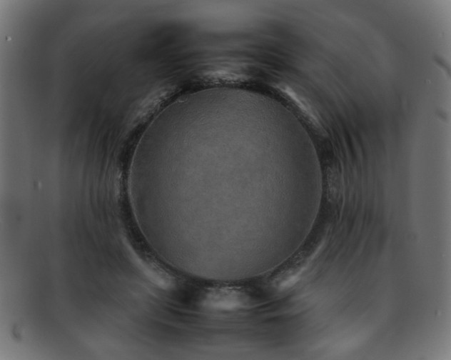 X0000092100451200709121547