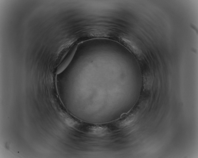X0000092100453200709121547
