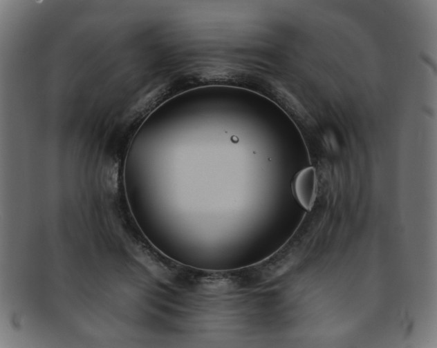 X0000092100454200709121547