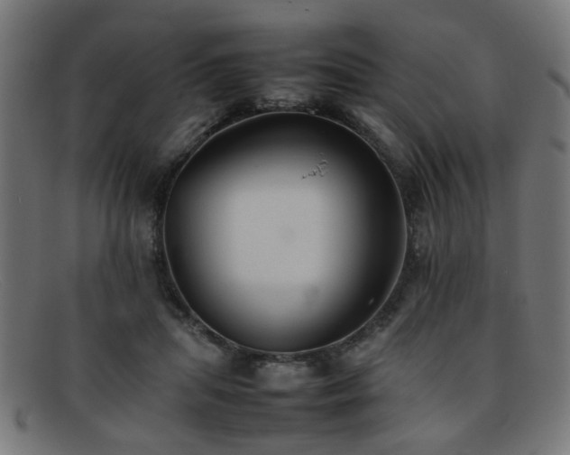 X0000092100455200709121547