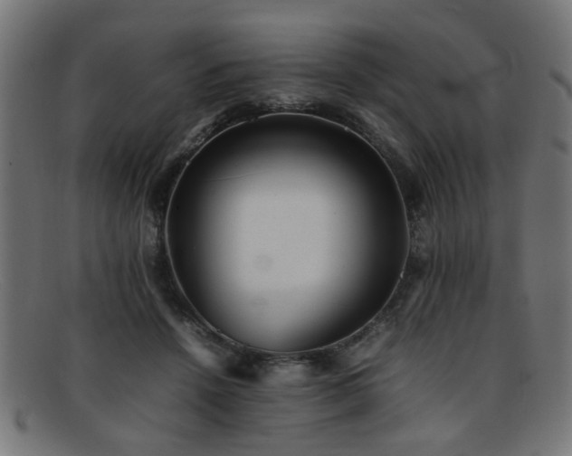 X0000092100456200709121547