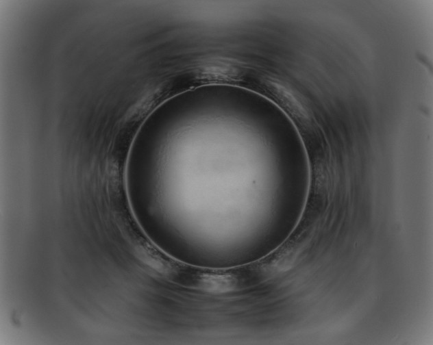 X0000092100457200709121547