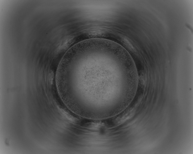 X0000092100458200709121547