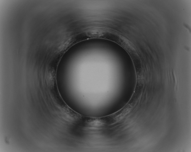 X0000092100460200709121547