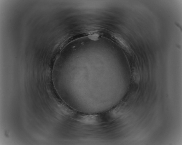 X0000092100461200709121547