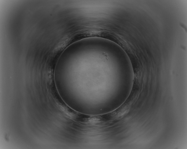 X0000092100462200709121547